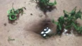 Giantess Pond PT 2 1080
