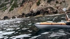 Boat-banging boning blows minds, sailor-style seafaring sexcapade with a side of salty seduction