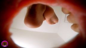 Giantess Cirilla - Pussy Pocket