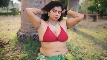 Desi Saree Fashion beauty