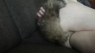 Creme De La Meow Meow