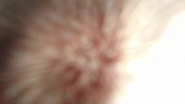 Sexo em várias posições