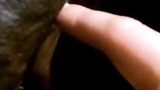 VULGAR White bimbos LOVES to Gives LONG African big black dick SLOPPY TOP
