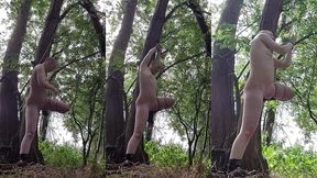 bts self-tying in the woods. there is a virtual reality(!!) recording of this too, which makes you feel like you are really t...