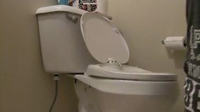 Bathroom Helper *mp4*