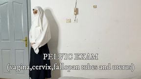 HIJAB WOMAN PELVIC EXAM: vagina cervix fallopan tubes and uterus