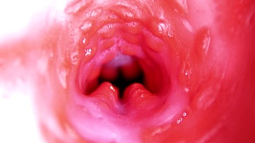 Extreme close up of a big cock in a sloppy wet sweet hole!