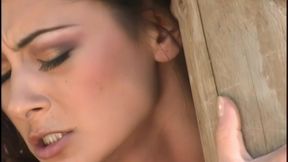 featuring: alaura eden;john west;romana ryder;candace von;mikey butders
