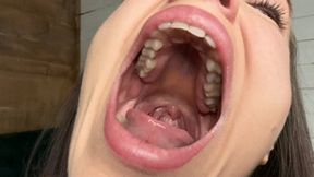 order* Stretching ALL wmv