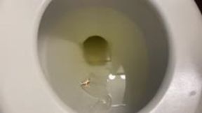 Toilet Fetish - Teenie Swims in Giantess Giant Toilet Full of Pee, femdom, mindfuck, shrinking fetish 4k