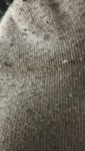 Smell My Stinky Socks, Directly From the Sneakerx, You Foot Sniffer!