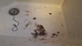 Extreme hairy pussy to shave after over 8 months of hair growth - Very hairy very extreme! 1080HD