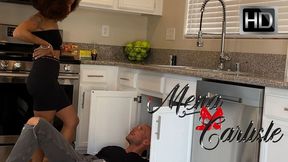 Fucking The Hot Plumber - Part 3 - WMV (HD720p)