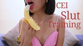 CEI Slut Training