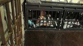 The Maya 72h Challenge - Maya Homerton - The ultimate Bondage Session - Chapter 18 - More Cage Time - Full Clip mp4 SD