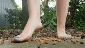 ASMR - Crushing Acorns Outside Barefoot