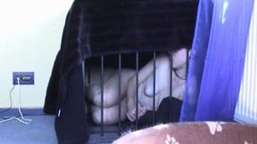 Slavegirl Janie