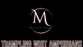 Mistress Magda - Trampling whit amphibians