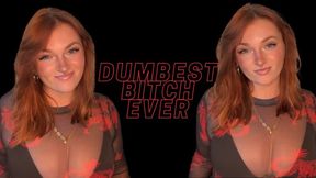 Dumbest Bitch Ever - Homewreck Mesmerize Mind Fuck Goddess Worship Beta Loser Verbal Humiliation Degradation