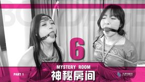"Mystery Room 6" Part 1 (Chinese model)