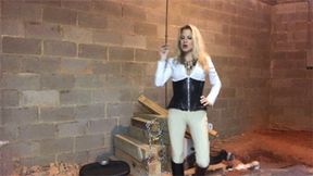Transformation Into A Stud Horse (WMV HD)