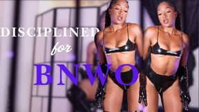Discipline for BNWO