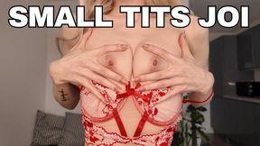 Small Tits and Tight Pussy JOI Sofie Skye HD