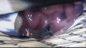 Tiny Human Fighting for his life in Giantess Belly 1080