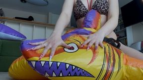 Lifeguard inspects your dolphin & shark