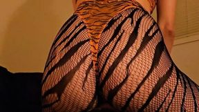 Tiger Mommy Pulses Her Ass on Your Face