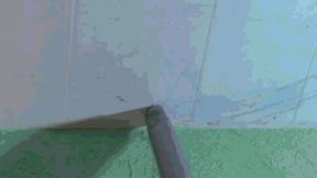 The dense web will be absorbed by your favorite vacuum cleaner wmv