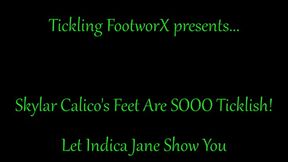 Skylar Calico's Feet are SOOOO Ticklish