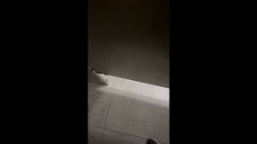 At work Public toilet mess