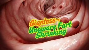 She Fart, You Shrink - Bubbly Fart And Macro Shrink Fantasy