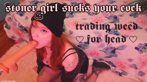 stoner girl sucks your dick