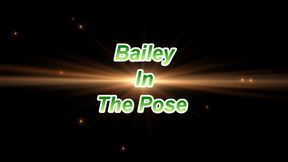 Bailey In The Pose