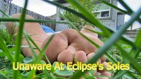 Unaware At Eclipses Soles - HD 1080p Version