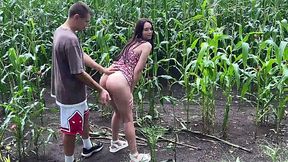 Amateur Busty Slut Getting Drilled Outdoors in a Corn Field