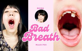 Reina Makino's Oral Intimacy Unveiled