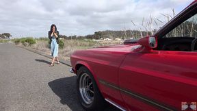 Viva's Mustang Pump