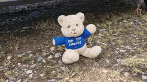 Poor sweet Teddy