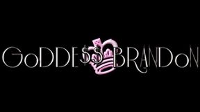 BBC Obsessed with Barbie Blonde Bombshell & her Barbie World