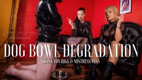 Femdom Dog Bowl Degradation with Miss Tess: Smoke, spit & Struggle