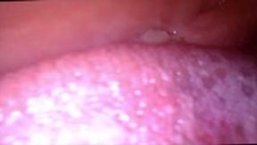 vore - You are a tiny human human In Giantess MXDominion's Home, you are Immediately discovered and begin your journey through her digestive system POV, female domination, shrinking fetish, mouth fetish 1080 smaller