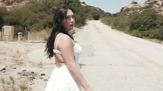 Roadside Romance A TS Seduction