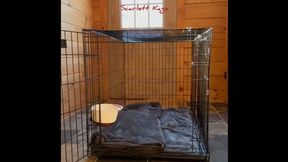 Scarlett Kage - Puppy Care part 1 - puppy waits in his cage while Scarlett works, then gets to eat pussy for lunch MP4