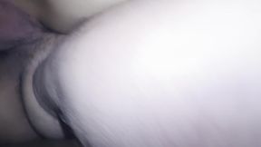 underneath view pussy pounding