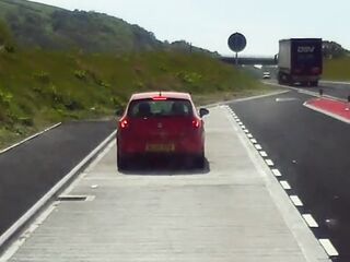 Welsh Beauty just has to urinate