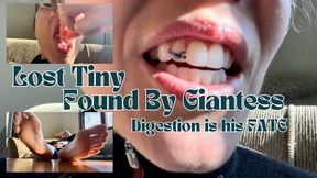 Lost Tiny Found by Giantess – Digestion Is His Fate