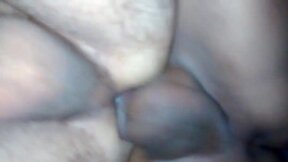 Melhor troca-troca (flip-flop) com travesti